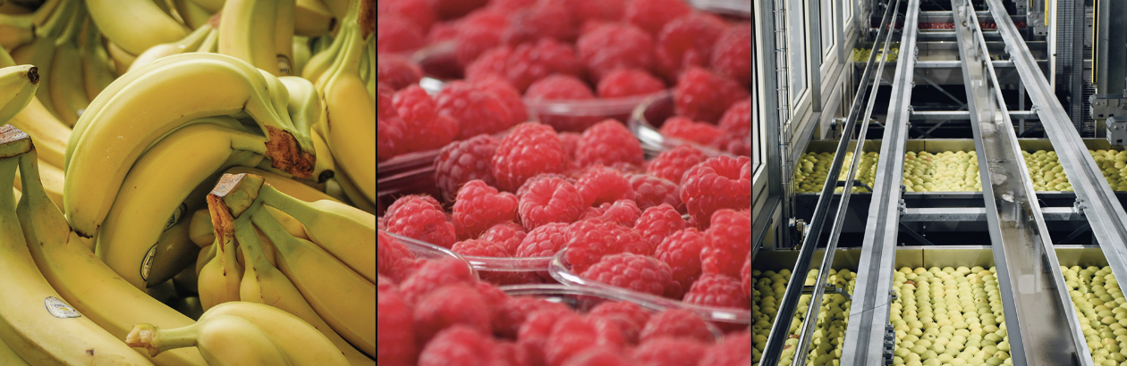 frutas02